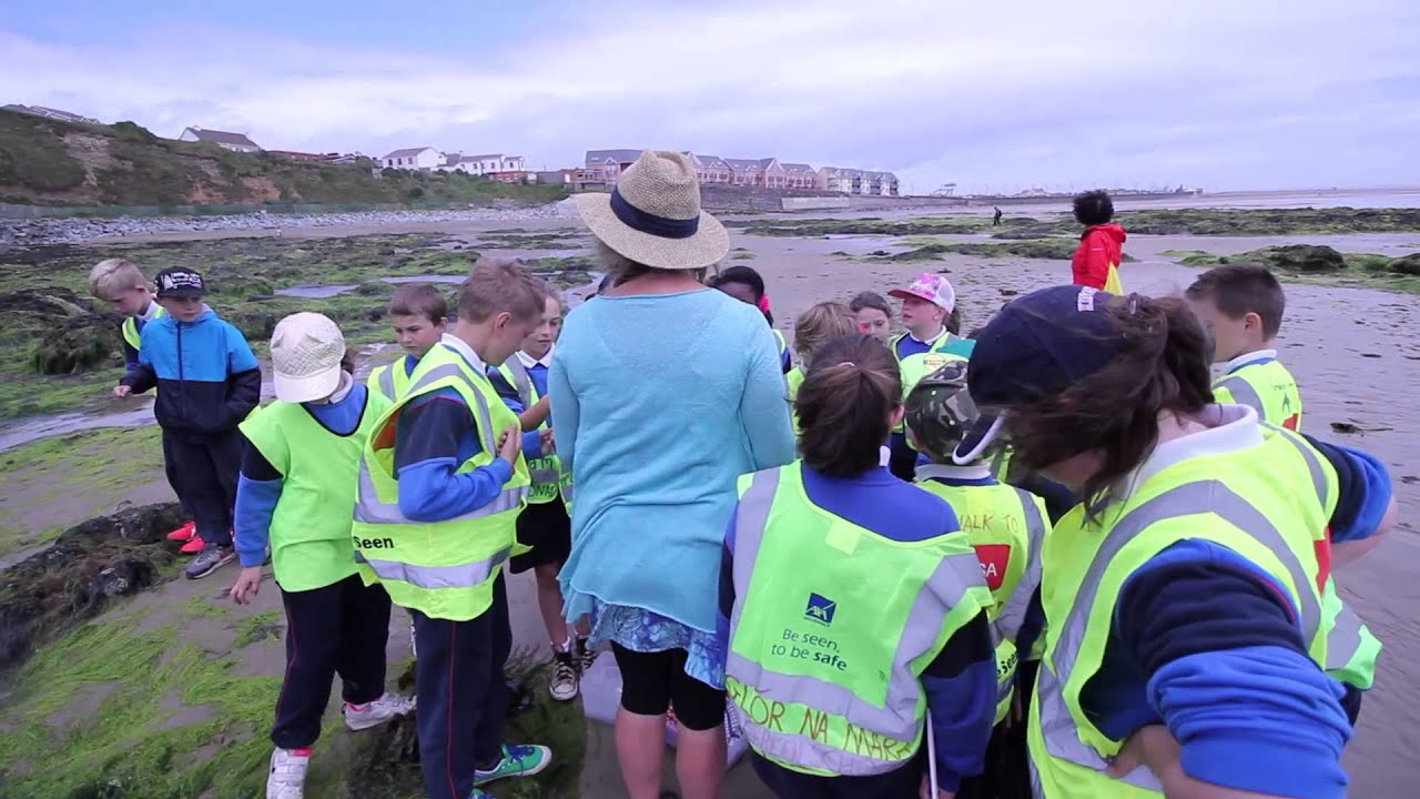 Heritage in Schools - Glor na Mara, Tramore