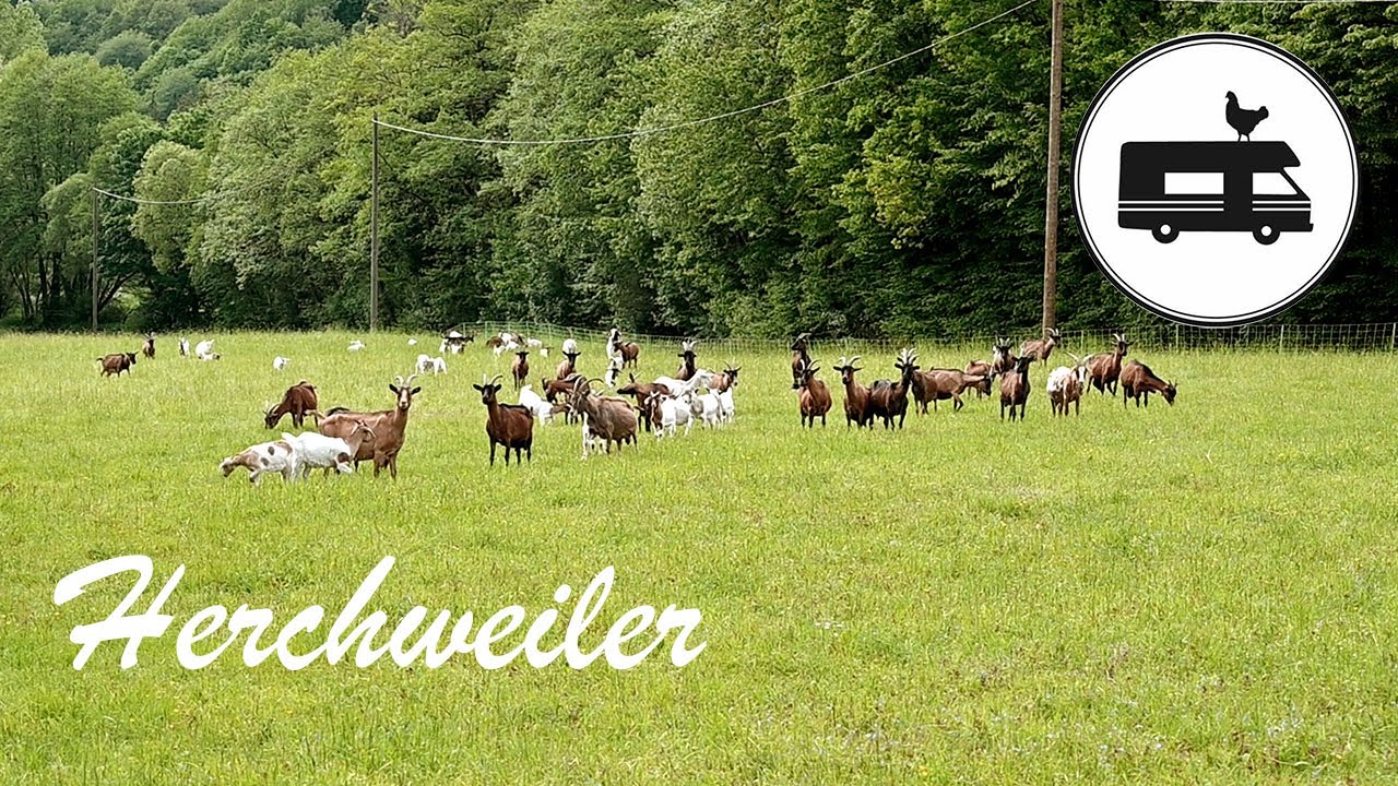 Landvergnügen | Wolfsbornerhof in Herchweiler