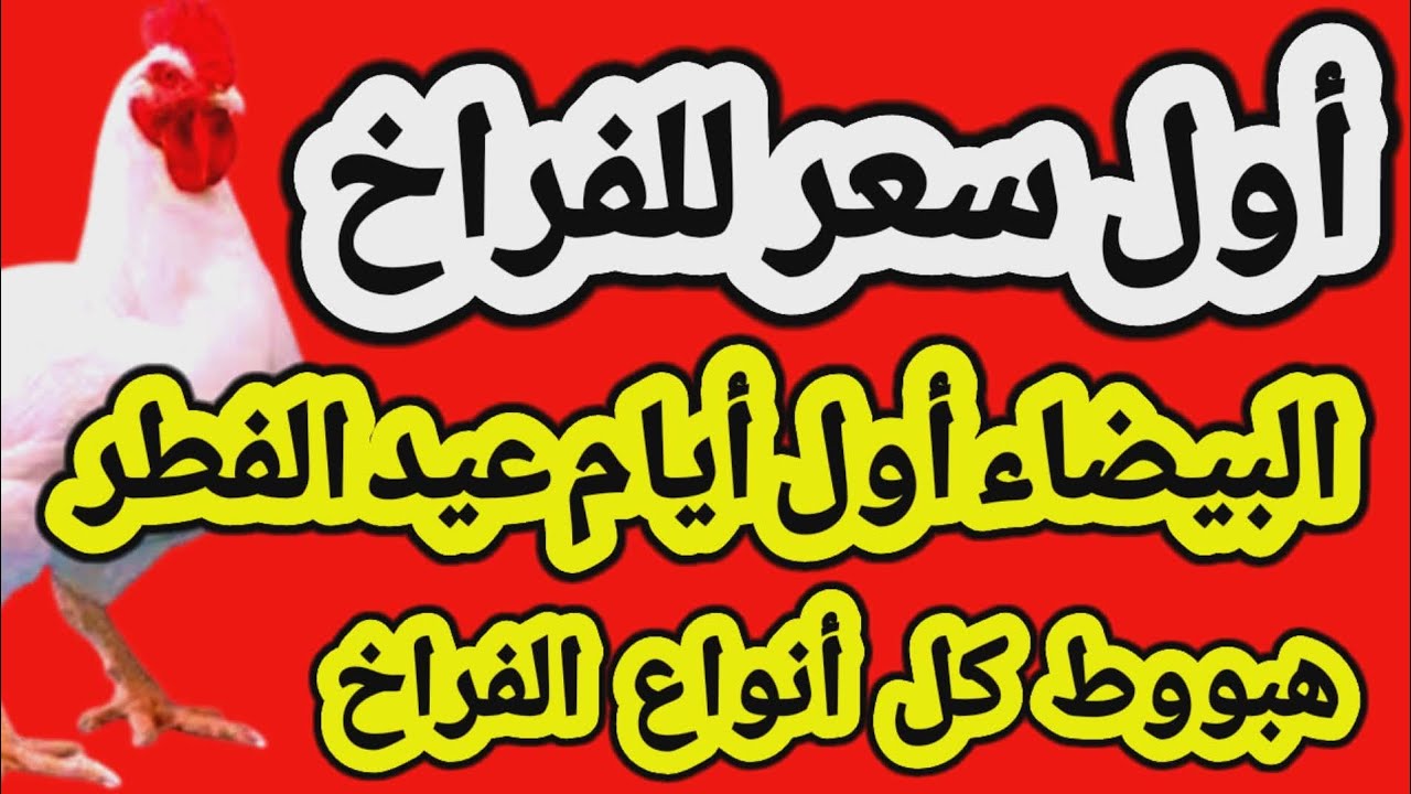 اسعار الفراخ البيضاء اليوم/ سعر الفراخ البيضاء اليوم الجمعه 2026/3/20 في مصر جمله وقطاعي