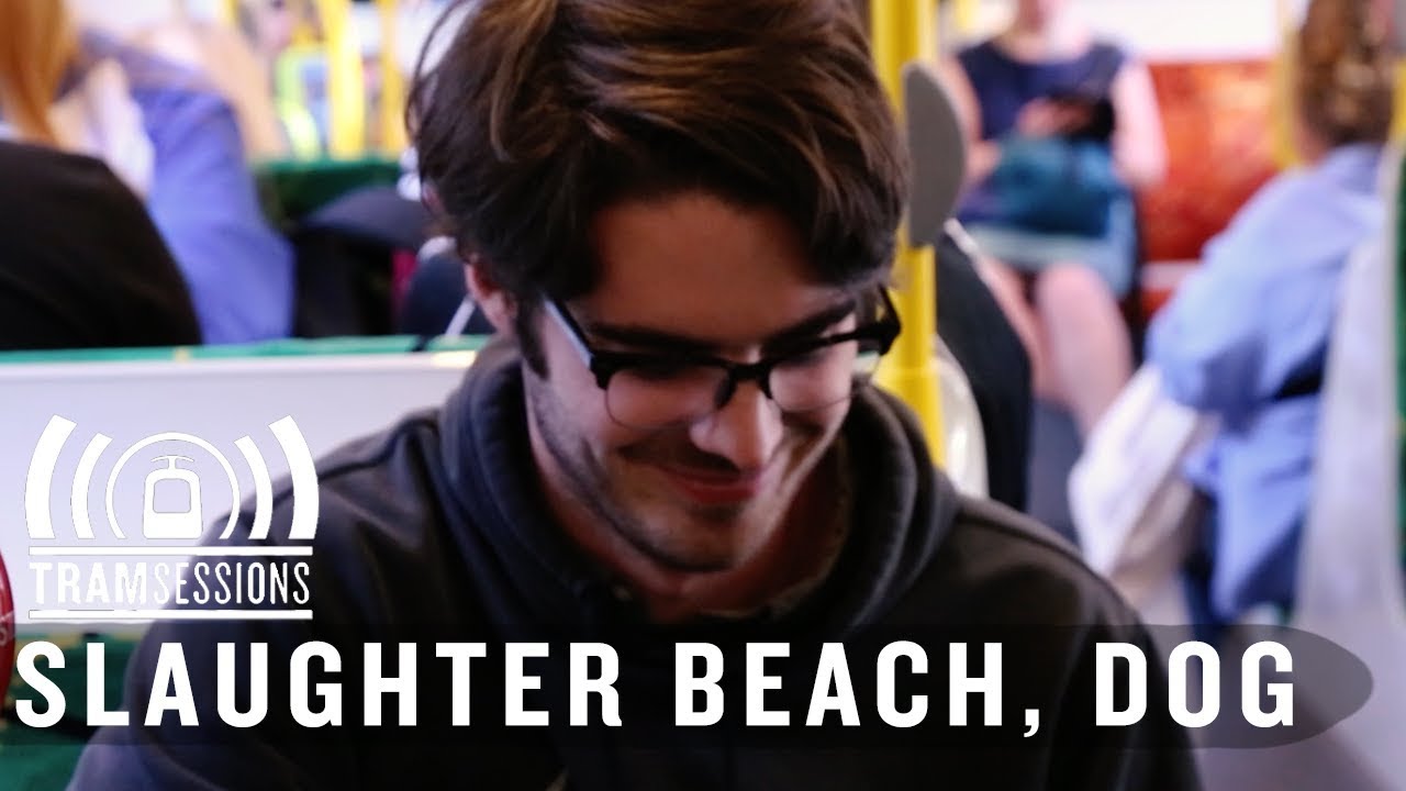 Slaughter Beach, Dog - Bad Beer | Tram Sessions