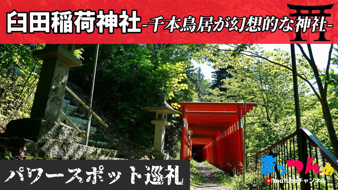 臼田稲荷神社 -千本鳥居が幻想的な神社-【まッつんのパワースポット巡り】