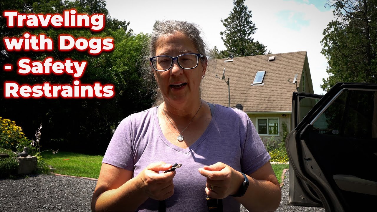 Traveling with Dogs and the Kurgo Tru-Fit