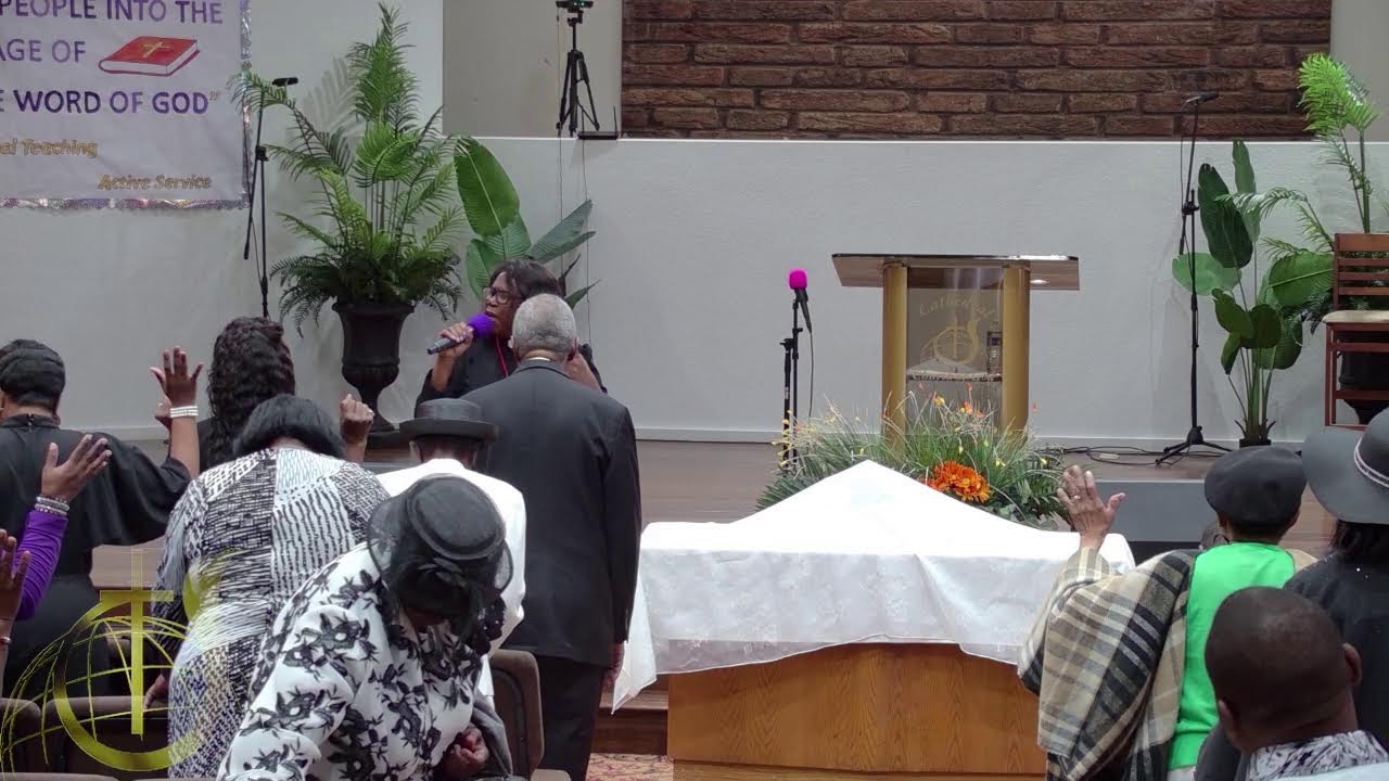 Cathedralccog's Live broadcast