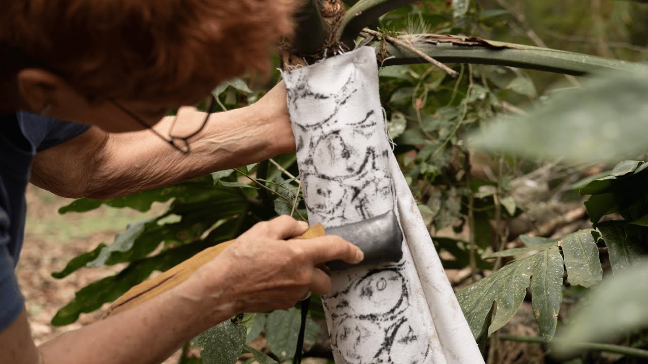 Awasi Artist Immersion x Diane Burko & Richard Ryan - 