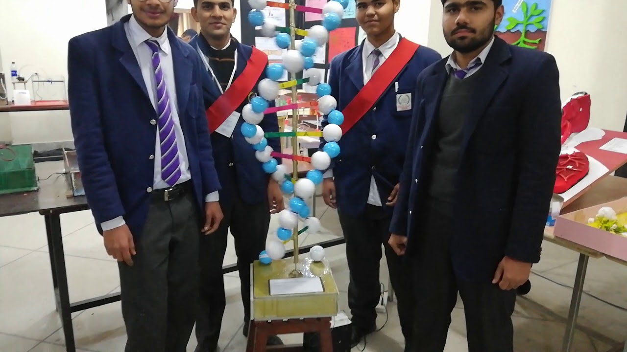 DNA WORKING MODEL