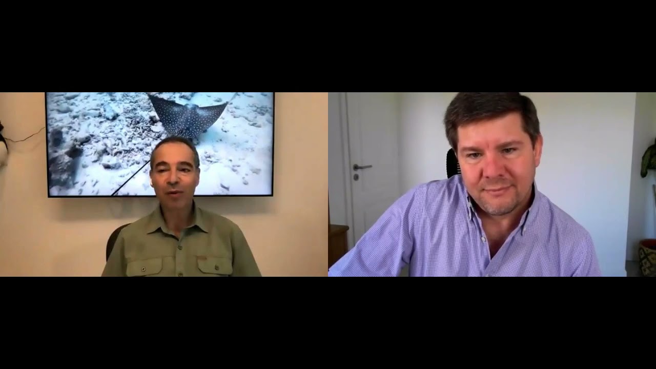 Fred Kofman - Tu trabajo es ayudar a que el equipo gane (Your job is to help the team win)