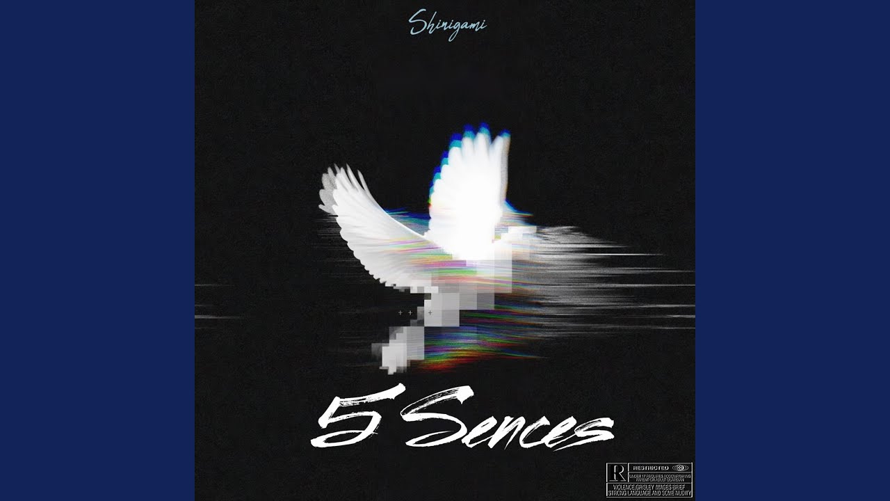 5 Sences