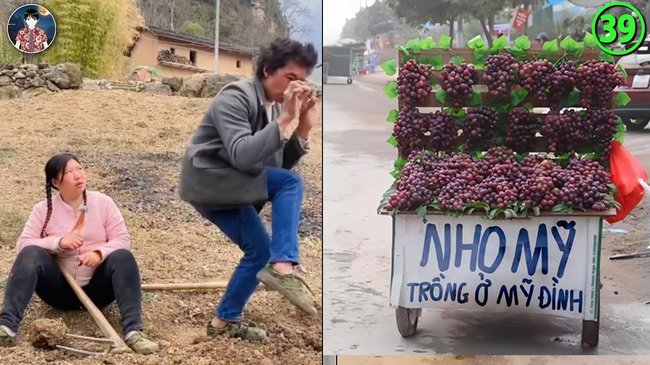 Ừ Thì Xem 39 : Não Rất Cá Vàng Nhé| Cười Nắc Nẻ