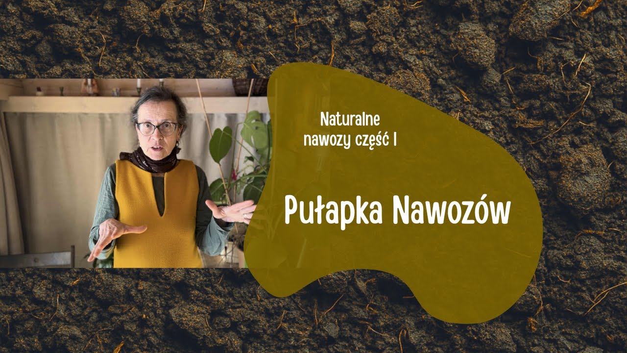 50-70% azotu marnuje się w glebie - NAWOZY NATURALNE cz.1
