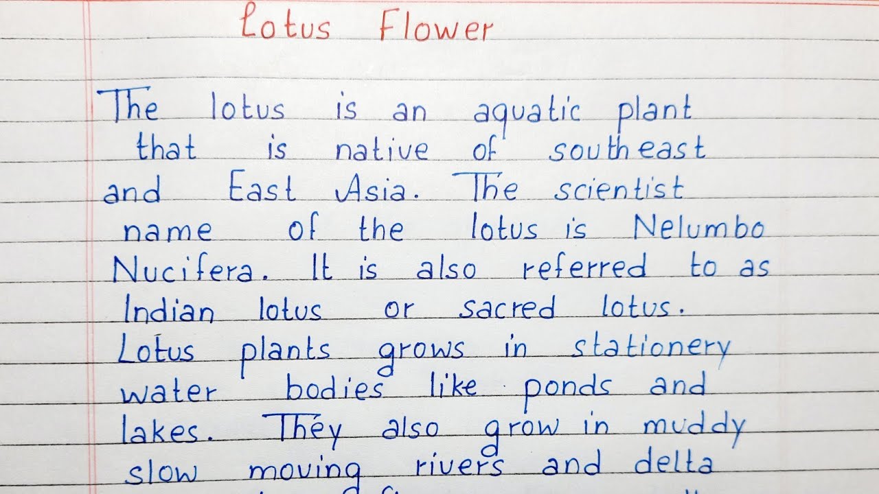 Write a short essay on Lotus Flower | Essay Writing | English