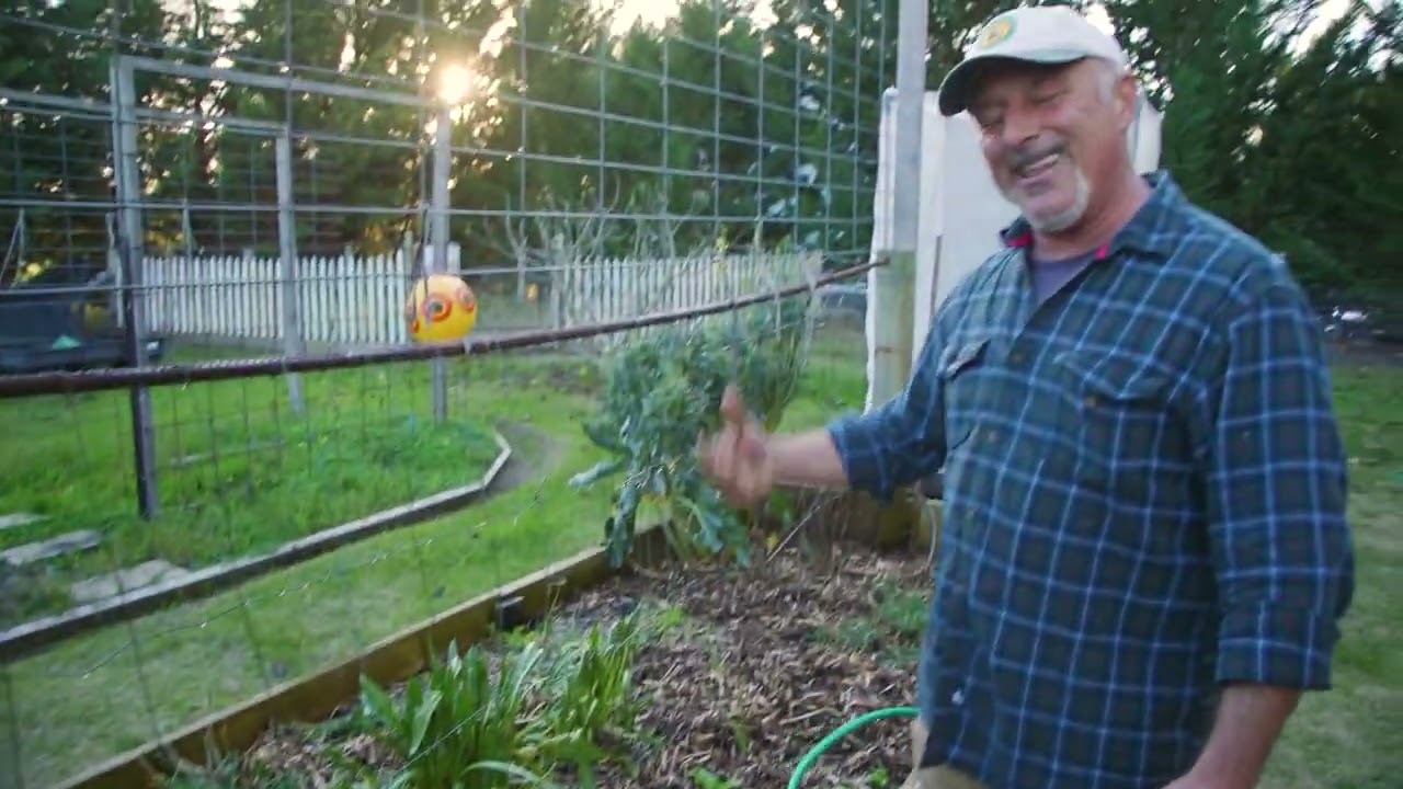 Adding Organic Matter In Bad Soil