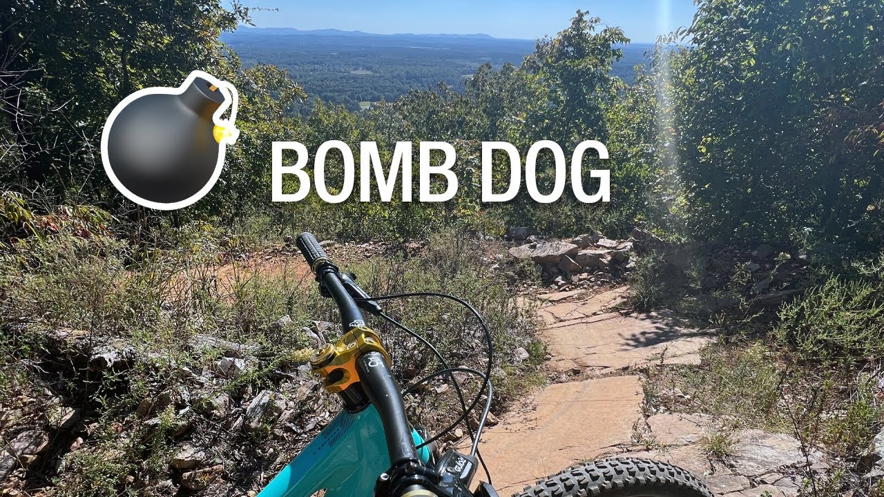 How Did I Not Know About THIS Trail?! Coldwater Mountain’s Bomb Dog!