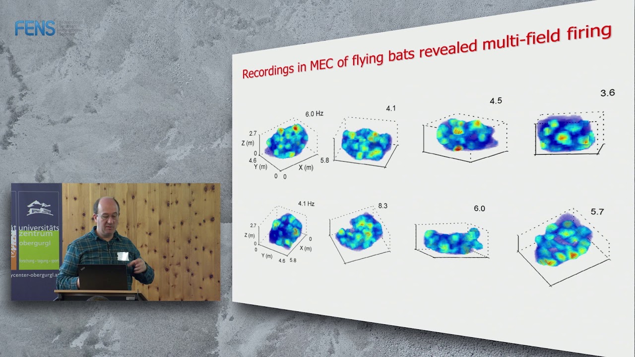 Nachum Ulanovsky on Neural codes for natural navigation in the hippocampal formation of bats