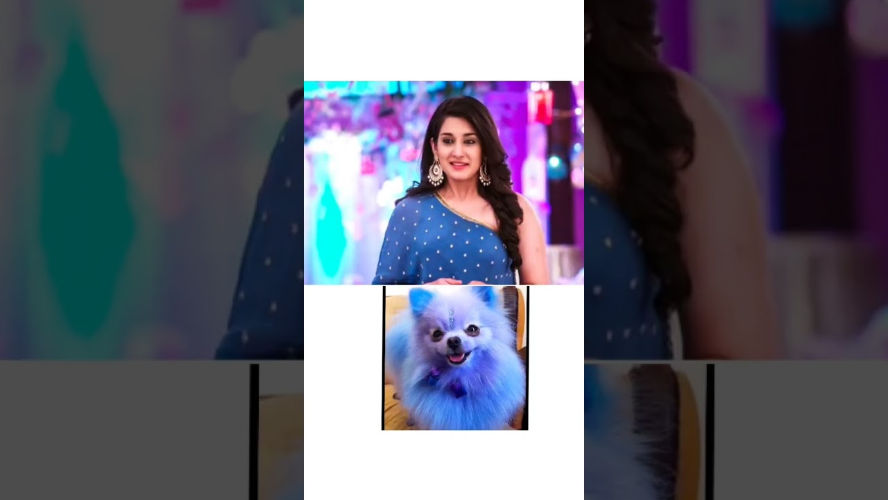 shemaroo umang all serial list #serial #actress #shemaroo