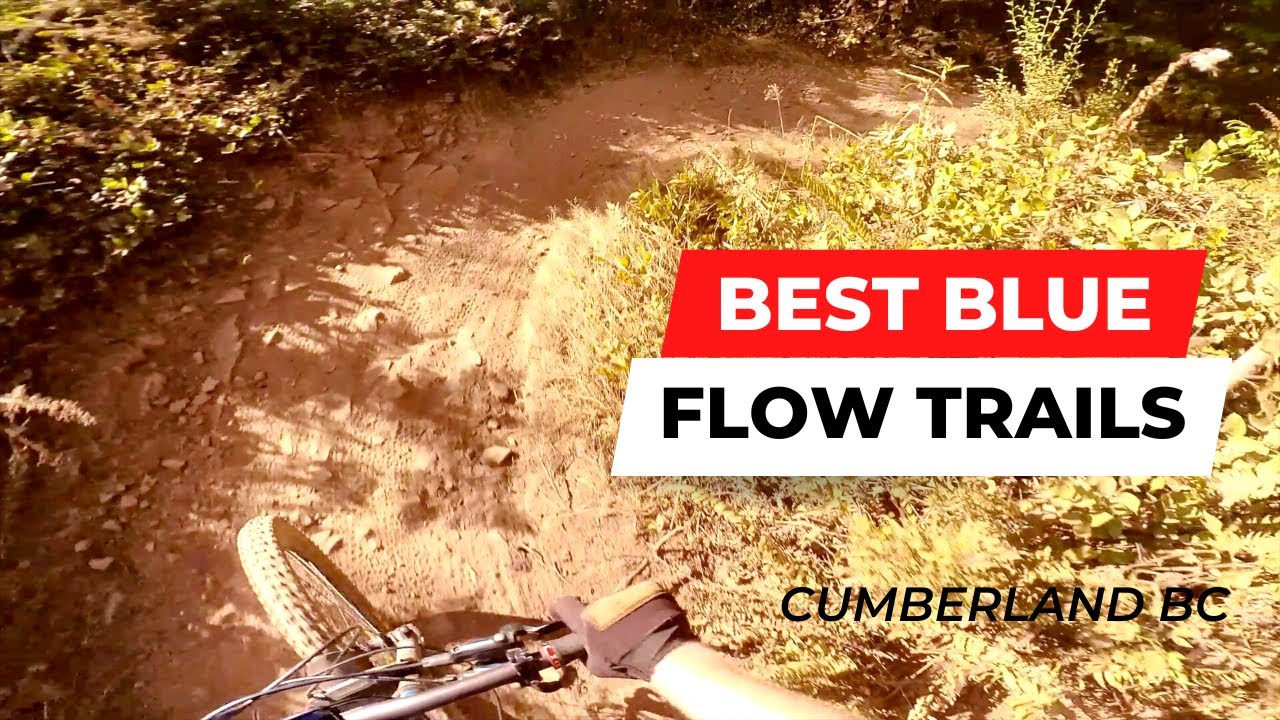 BEST Blue MTB Trails | Cumberland BC