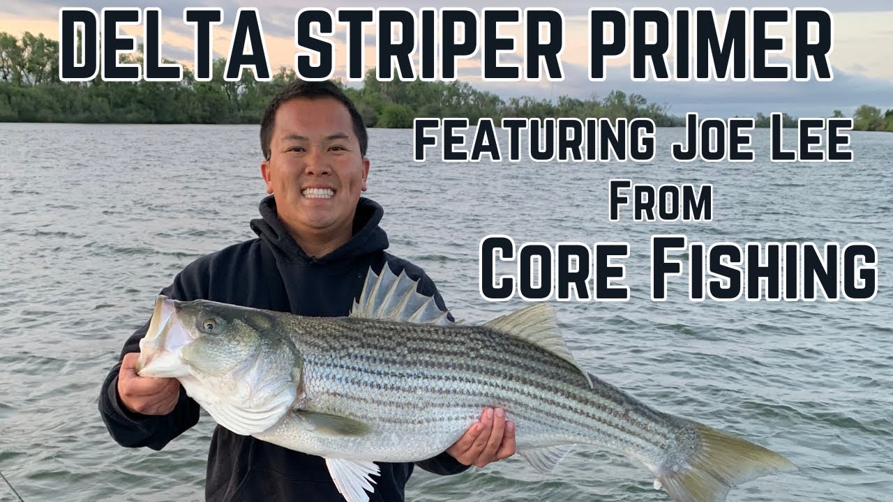 Delta Striper Primer.- Featuring - Joe Lee.