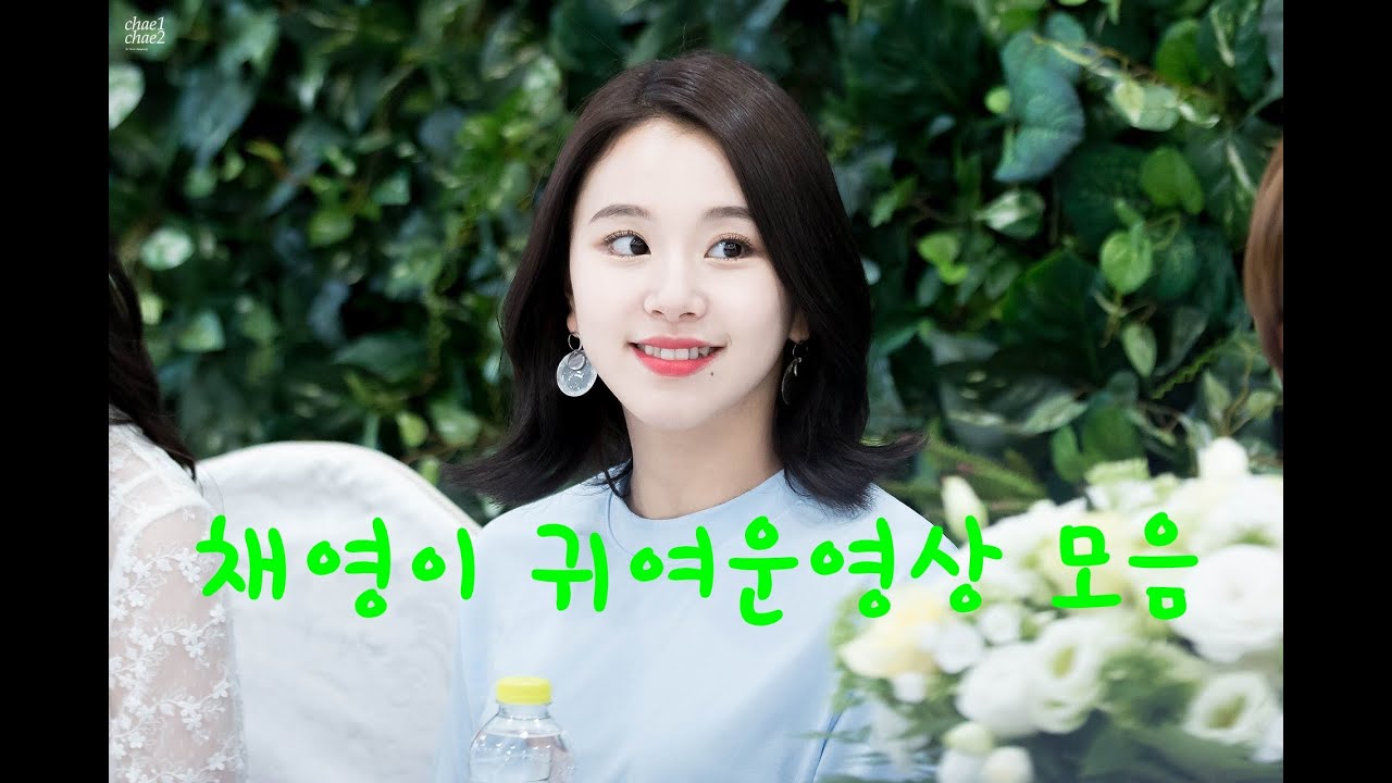 채영 귀여운영상 모음