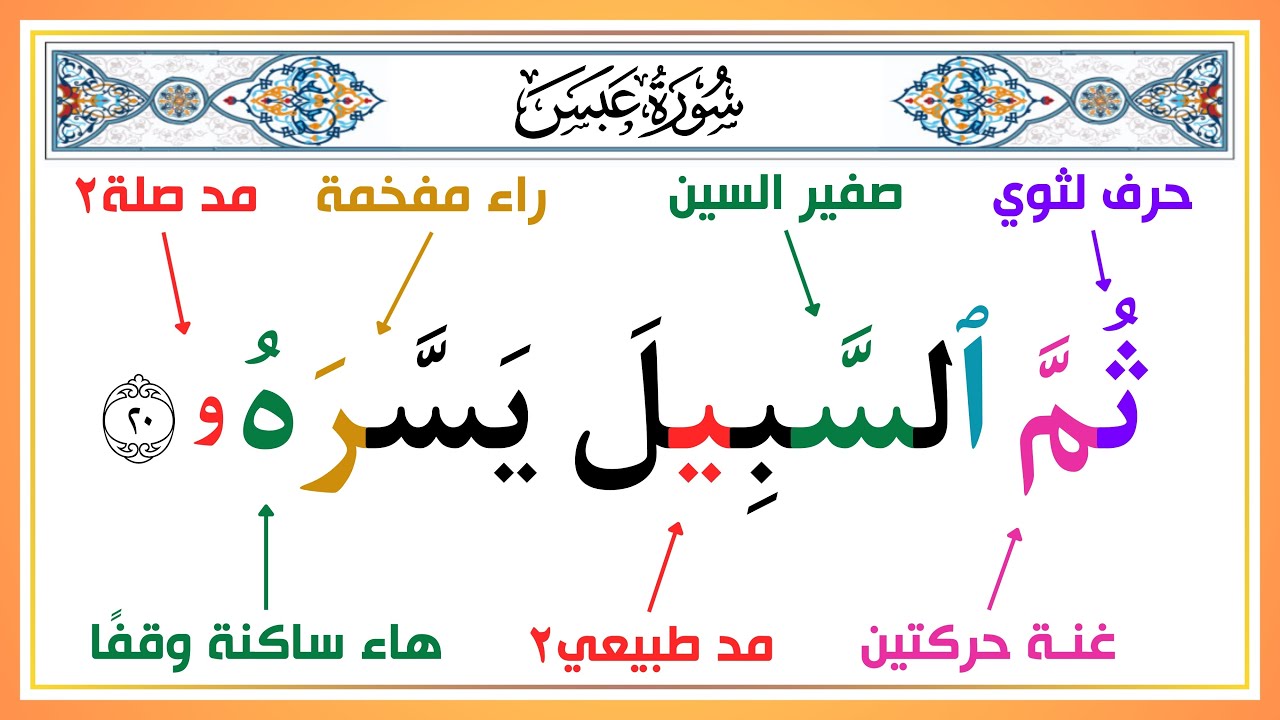 الجزء الثالث من سورة عبس | تعلم كيف تقرأ القرآن بأحكام التجويد | أسهل طريقة لحفظ القرآن الكريم