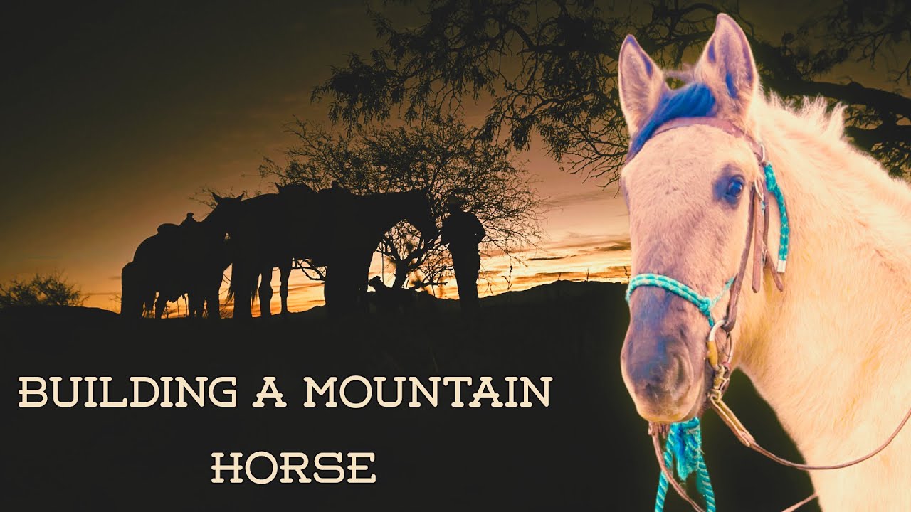 You Don’t Buy a Mountain Horse — You Build One