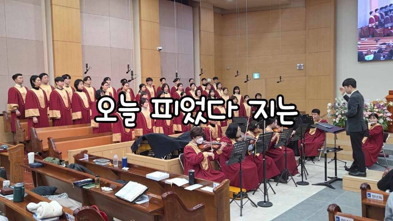 오늘 피었다 지는 - 2026.02.08. 서울노원교회 찬양대