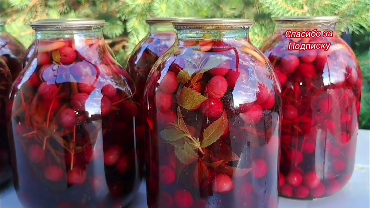 🍒 Вишневый Компот / без Стерилизации - МОХИТО с Мятой и Лимоном !!!