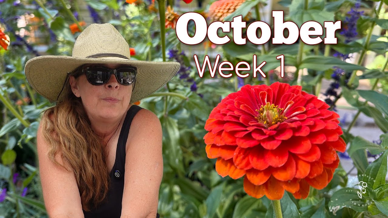 Gorgeous Blooms for October!  Complete Cottage Garden Tour - Flower Patch