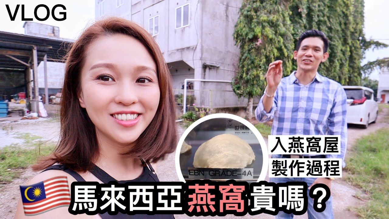 Vlog #64 馬來西亞燕窩貴嗎？｜進入燕窩屋+製作過程
