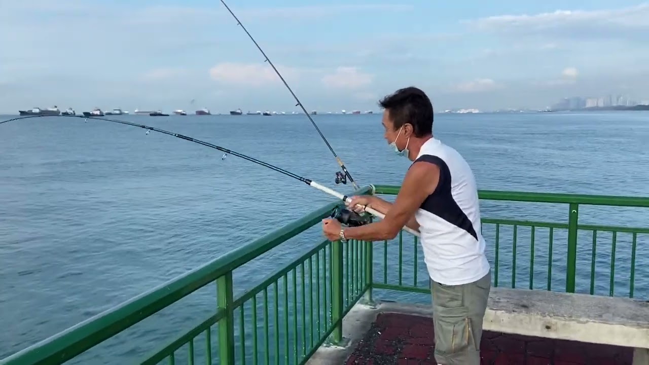 Bedok Jetty, big queenfish