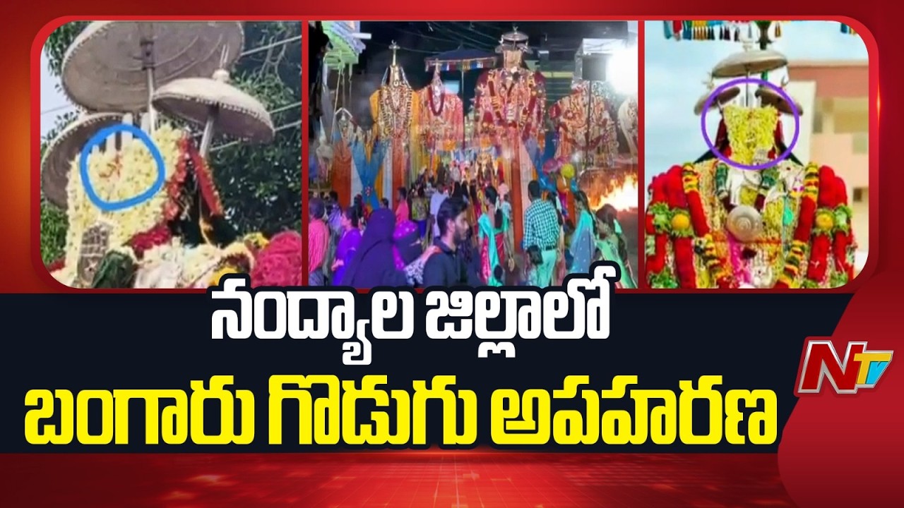 Golden Umbrella Stolen from Moulali Swamy Idol in Nandyal District | NTV Telugu