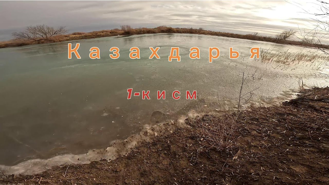 Казахдарья 1