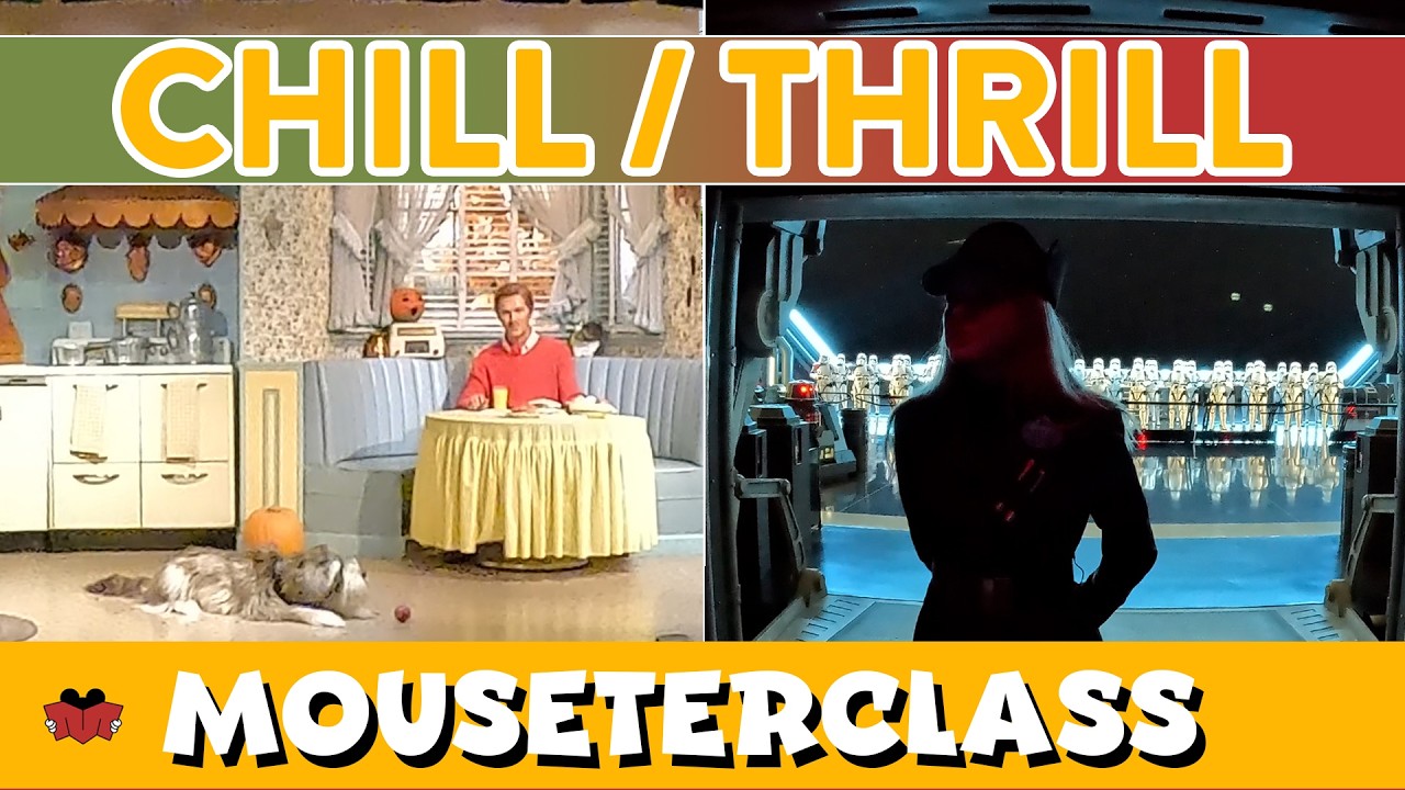 I Rode Every Disney Park Ride And Ranked Them By THRILL LEVEL