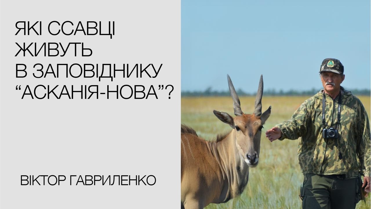 Віктор Гавриленко про ссавців Асканії-Нова