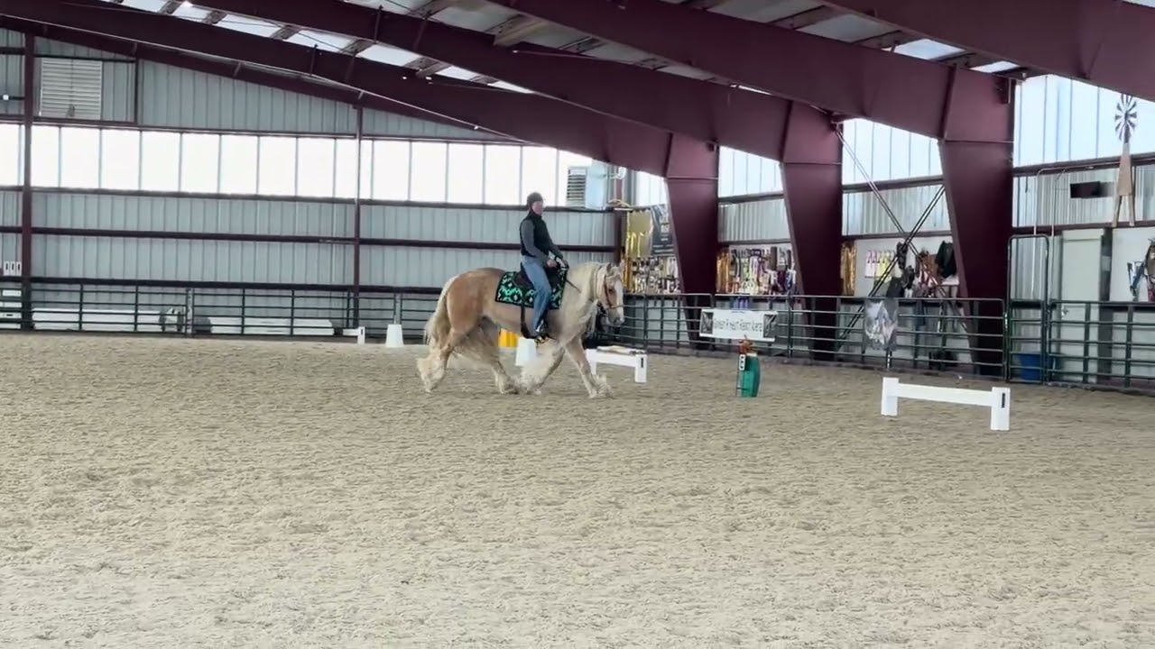 CAWDA Snowflake Horse Show #6380 GRH Sweet Time Lizzy Tierra Osborne