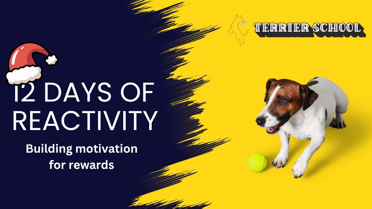 12 Days of Reactivity - Day Nine