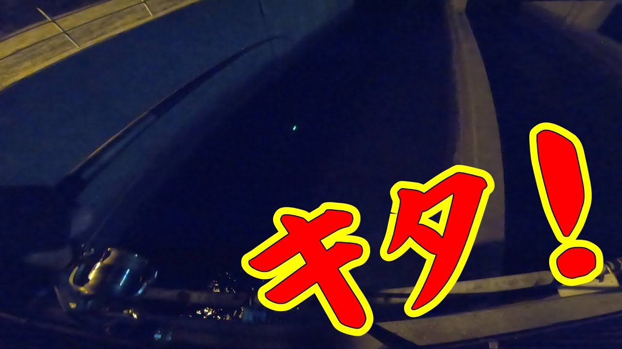 【夜が狙い目の碧南釣り公園】釣り/海釣り/碧南海釣り公園/碧南釣り広場/温排水/衣浦湾/クロダイ/チヌ/キビレ