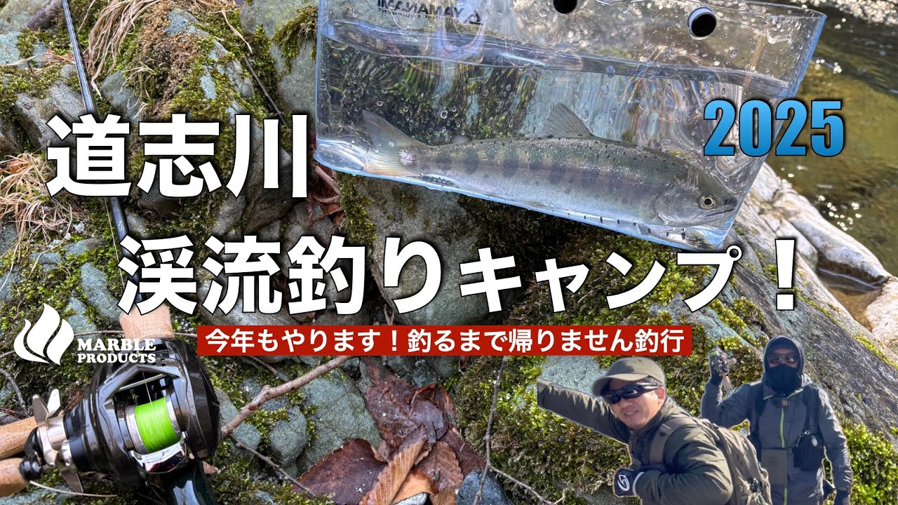 【道志川】解禁直後の渓流ルアー釣りキャンプ/ヤマメが釣れるまで帰れません2025【ベイトフィネス】【道志ヤマメ】