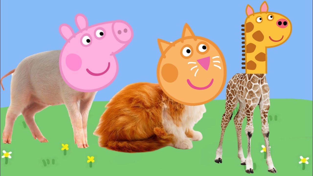 Real life animals with Peppa Pig heads