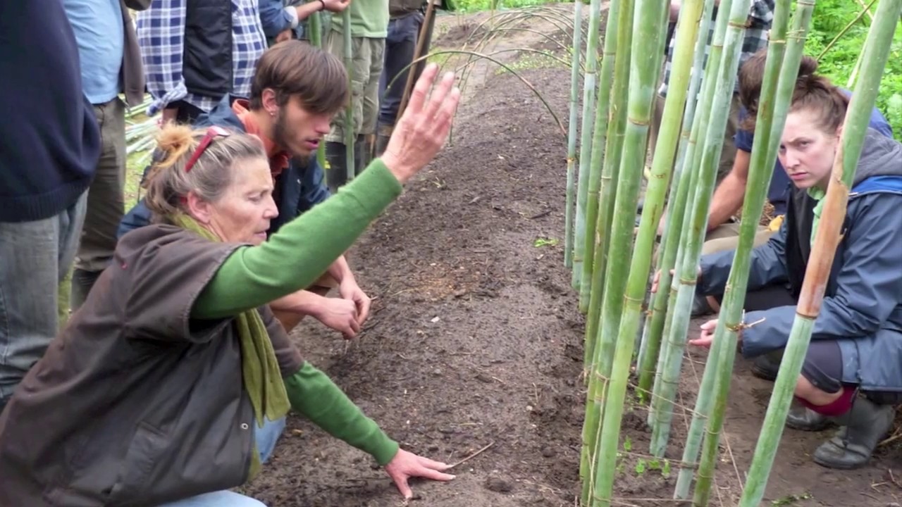 Zaytuna Farm Permaculture Internship April-June 2012
