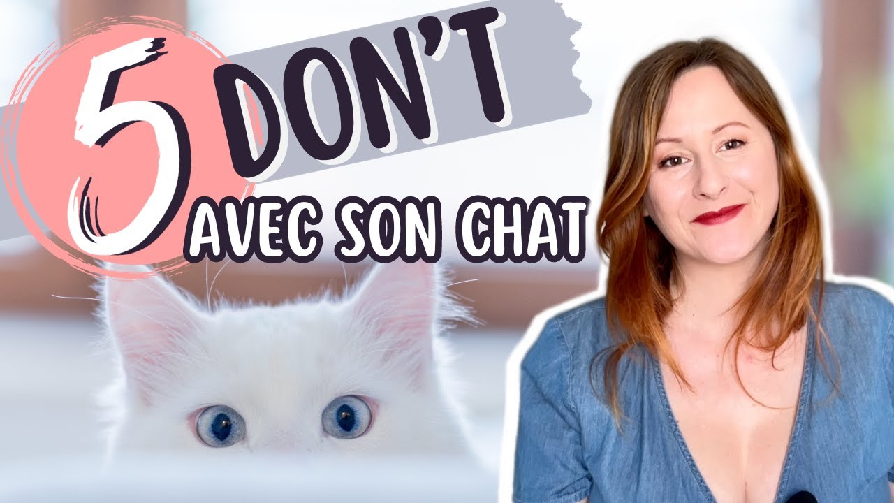 5 choses à ne jamais faire à son chat !