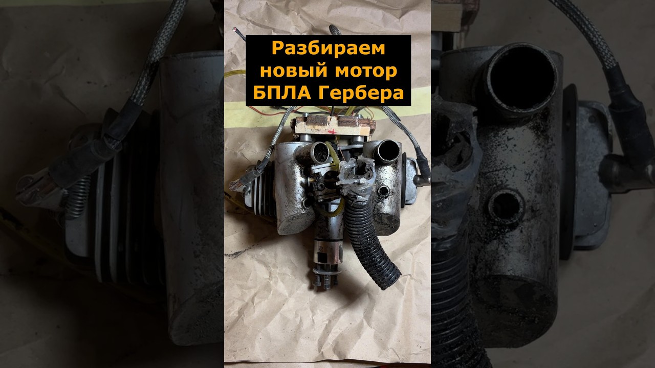 Разбираем новый мотор от БПЛА Гербера #разбор #гербера #бпла
