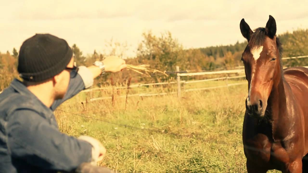 Johan Alander - Punkt