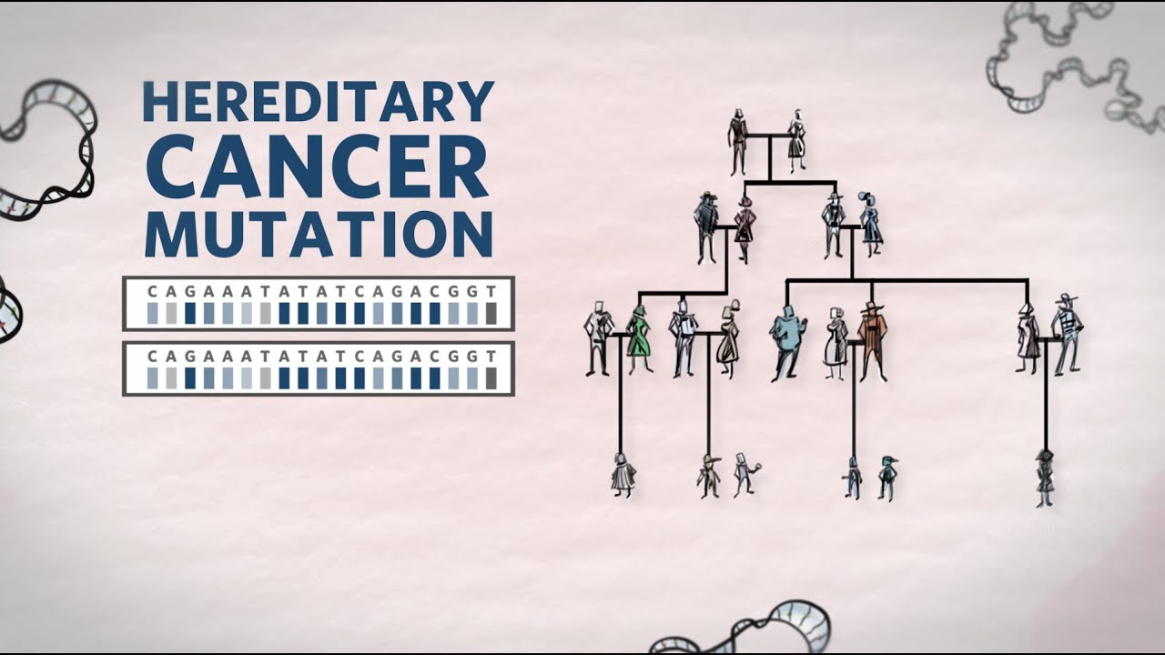 What Is Hereditary Cancer? What Is A Hereditary Cancer Mutation | Genetics 101 | Ambry Genetics