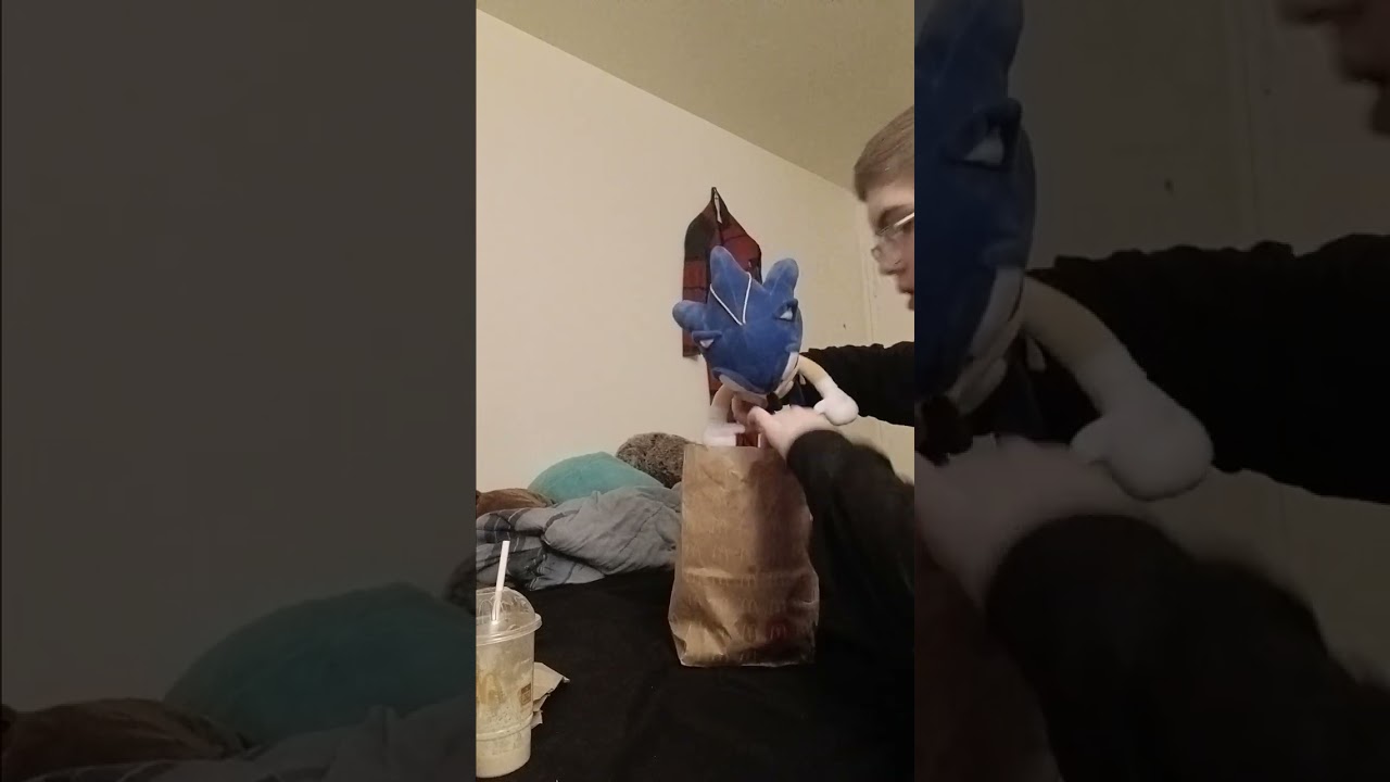 Sonic and Shadow order McDonald's for the first time.