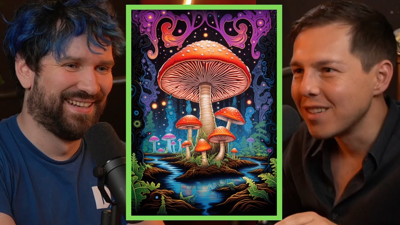 Destiny&rsquo;s Experience With MAGIC MUSHROOMS