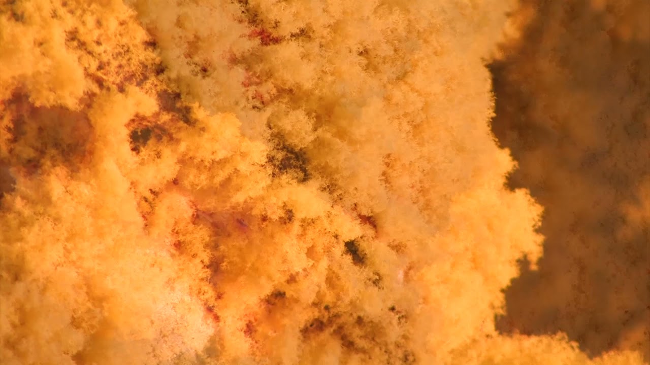 Yellow - Renova X Paulo Seabra