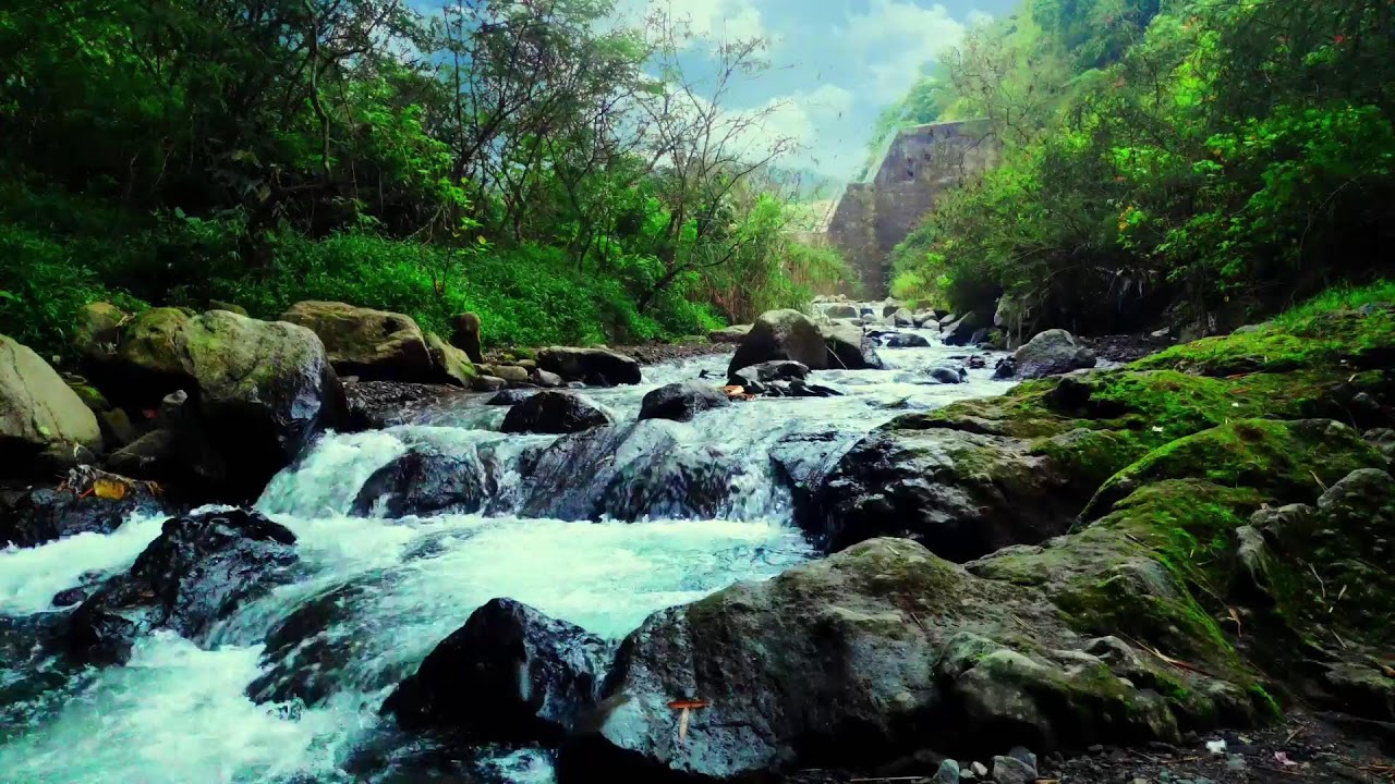 Calm River Flow Sound – Emotional Therapy to Soothe Stress and Sleep Deeply