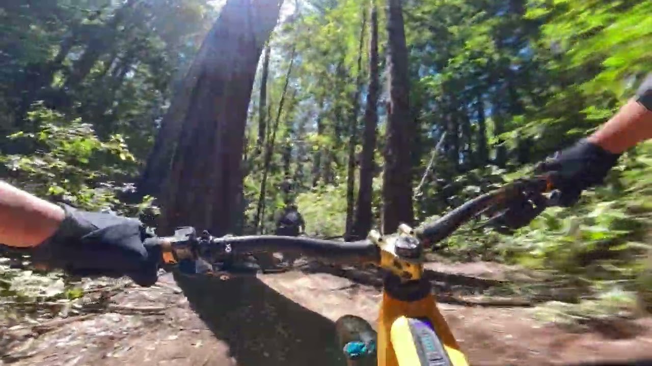Mailbox to Adam's Creek MTB Trail Santa Cruz, CA