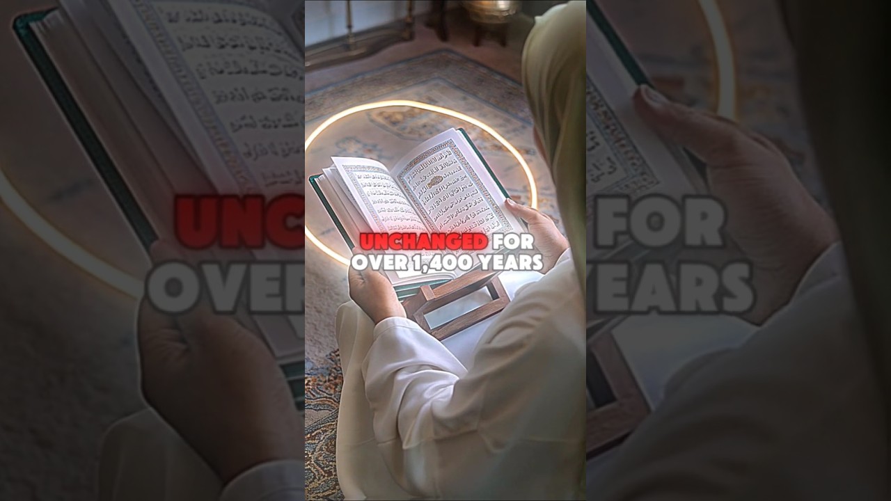 Proof that Islam is the True Religion (Part 1)✨ #proof #islam #truth #religion #shortsfeed #shorts