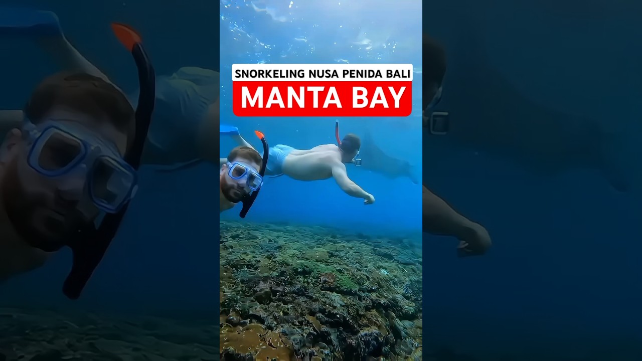 TOUR NUSA PENIDA ISLAND SNORKELING AT MANTA BAY #snorkeling #bali #trending #vlogs #baliindonesia