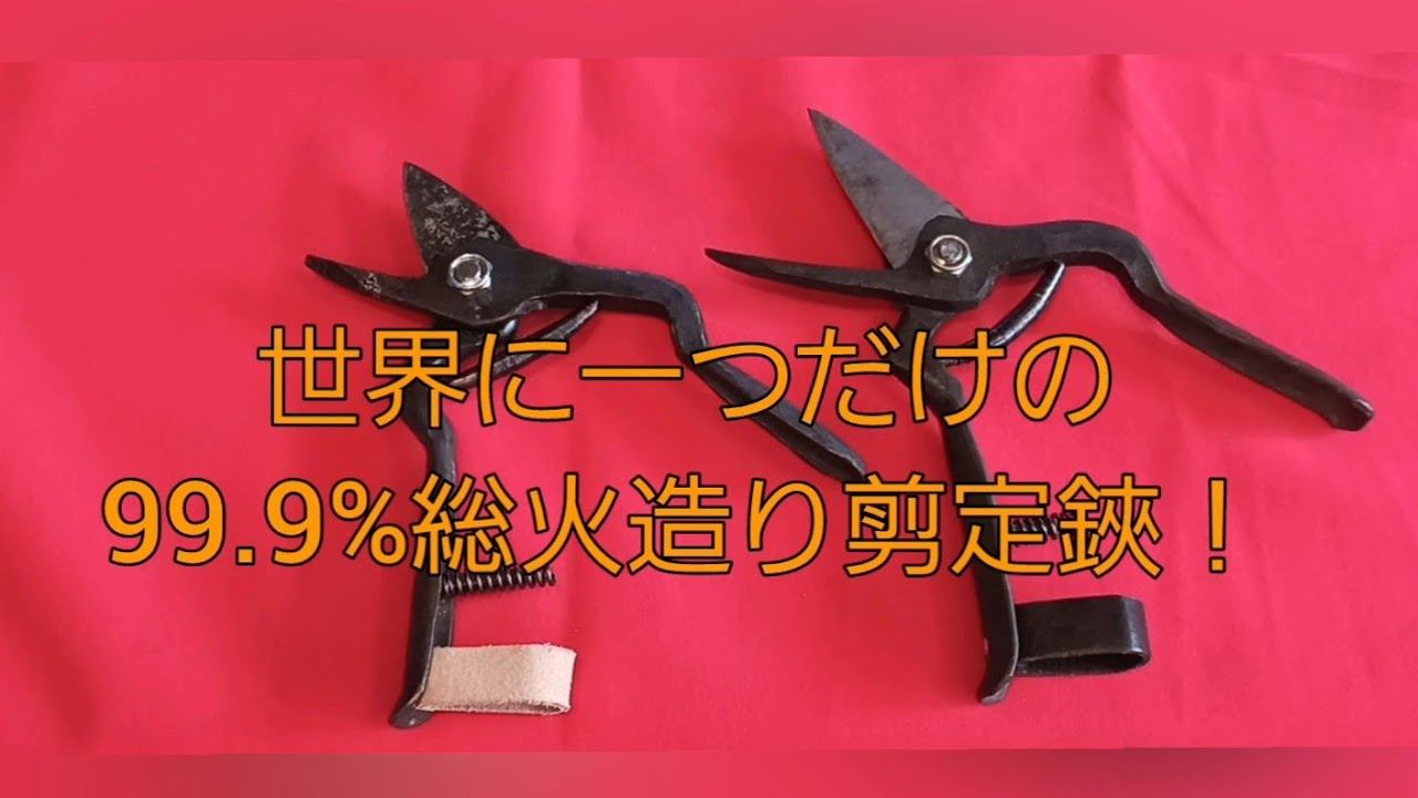 秋田　関刃物鍛冶工場作99.9%総火造り　特別誂　剪定鋏！　2025年12月5日